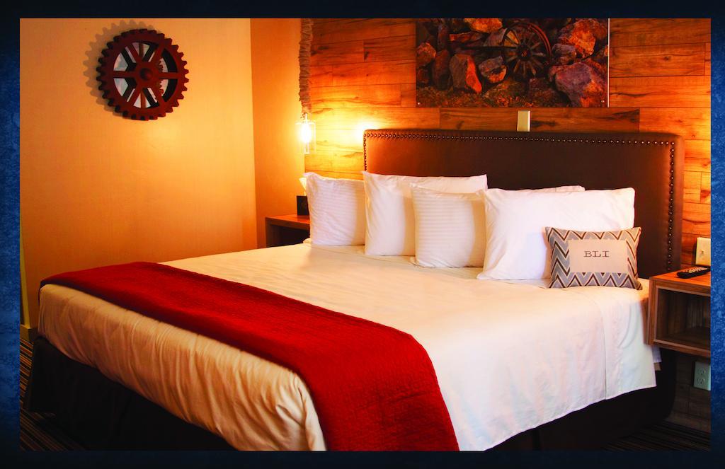 King Room (Non-Dog Friendly)